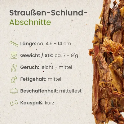 Kauartikel.com Straußen-Schlund-Abschnitte