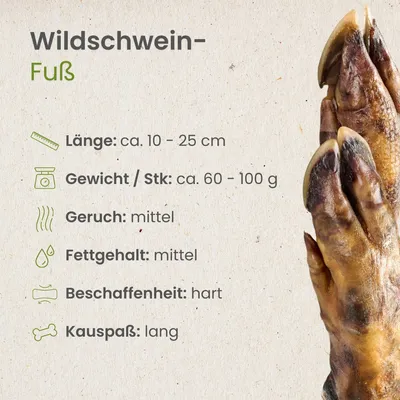 Kauartikel.com Wildschwein-Fuß