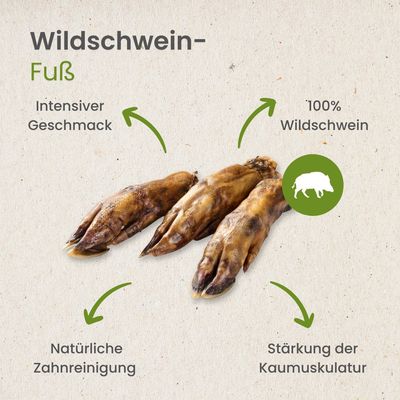 Kauartikel.com Wildschwein-Fuß
