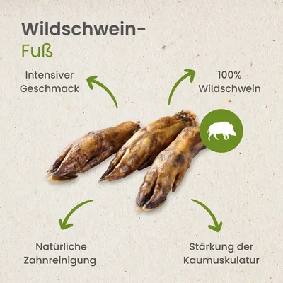 Kauartikel.com Wildschwein-Fuß