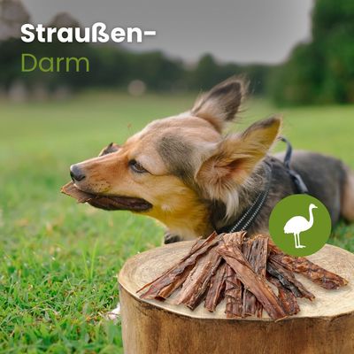 Kauartikel.com Straußen-Darm