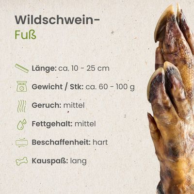 Kauartikel.com Wildschwein-Fuß