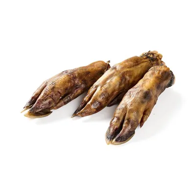Kauartikel.com Wildschwein-Fuß