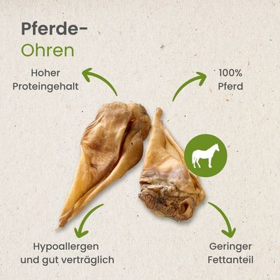 Kauartikel.com Pferde-Ohren