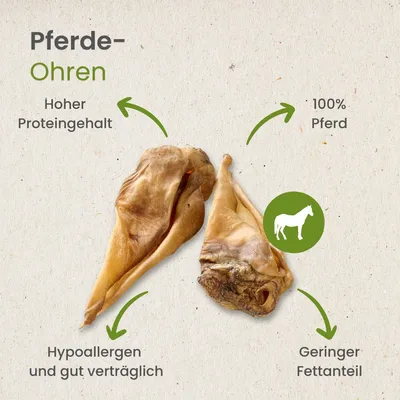 Kauartikel.com Pferde-Ohren