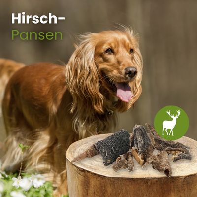 Kauartikel.com Hirsch-Pansen