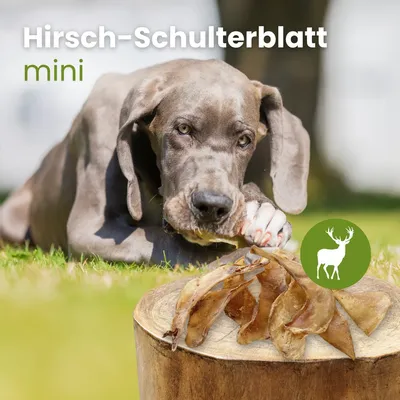 Kauartikel.com Hirsch-Schulterblatt Mini