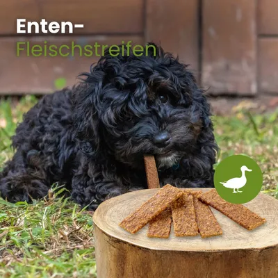 Kauartikel.com Enten-Fleischstreifen
