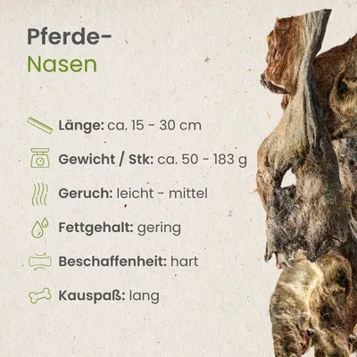 Kauartikel.com Pferde-Nasen