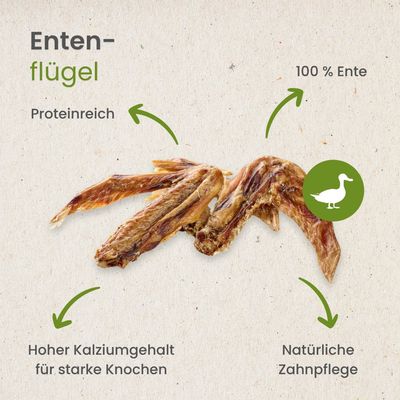 Kauartikel.com Enten-Flügel