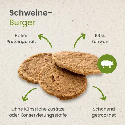 Kauartikel.com Schweine-Burger
