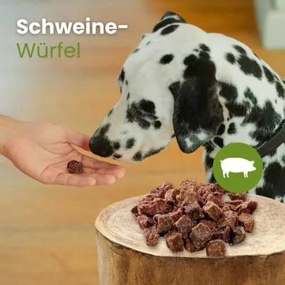 Kauartikel.com Schweine-Würfel Kauartikel.com Schweine-Würfel