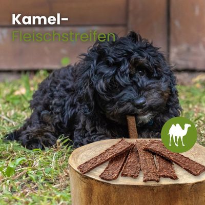 Kauartikel.com Kamel-Fleischstreifen