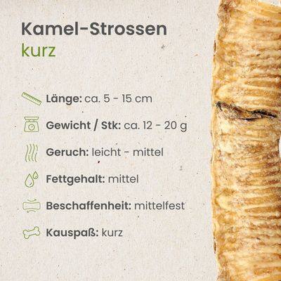 Kauartikel.com Kamel-Strossen, kurz