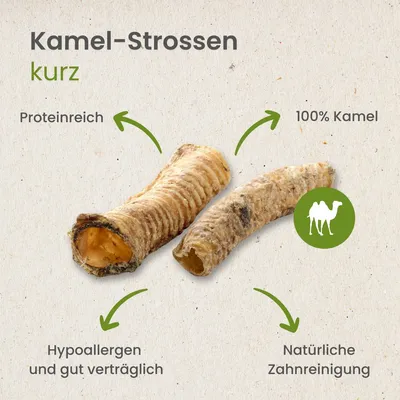 Kauartikel.com Kamel-Strossen, kurz
