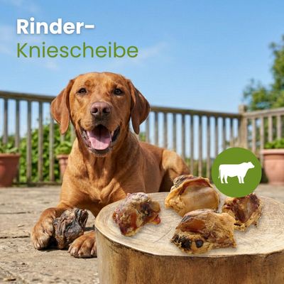 Kauartikel.com Rinder-Kniescheibe