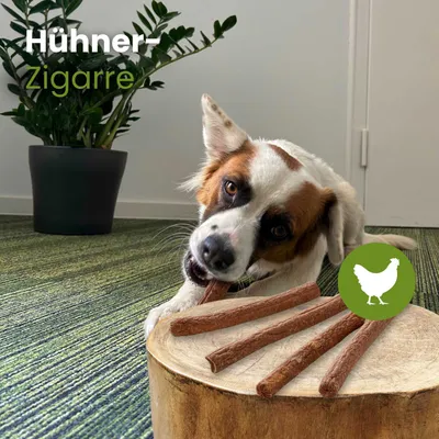 Kauartikel.com Hühner-Zigarre