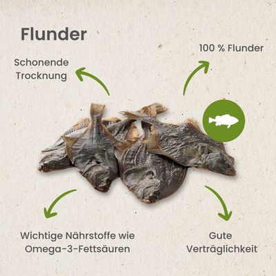 Kauartikel.com Flunder