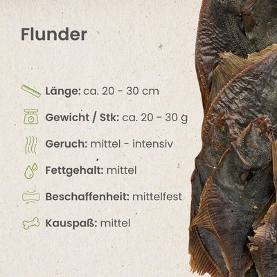 Kauartikel.com Flunder