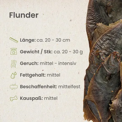 Kauartikel.com Flunder