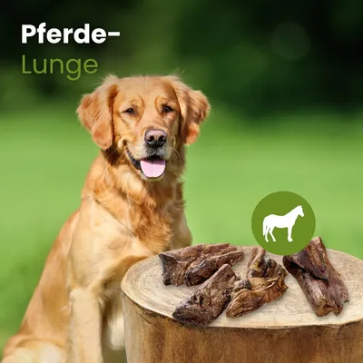 Kauartikel.com Pferde-Lunge Kauartikel.com Pferde-Lunge