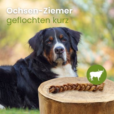 Kauartikel.com Ochsen-Ziemer, geflochten kurz