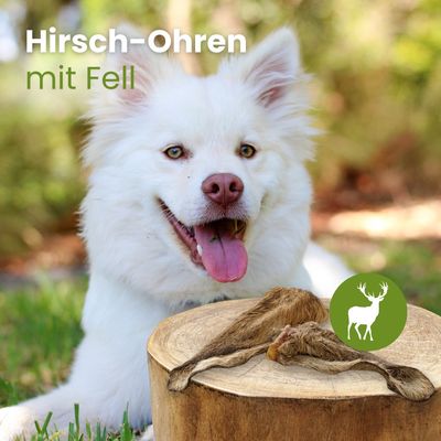 Kauartikel.com Hirsch-Ohren mit Fell