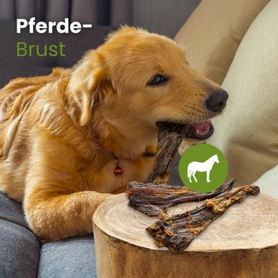 Kauartikel.com Pferde-Brust