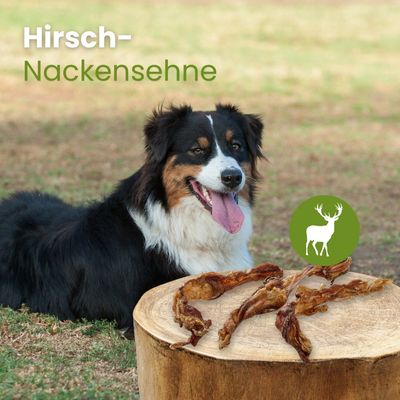 Kauartikel.com Hirsch-Nackensehne
