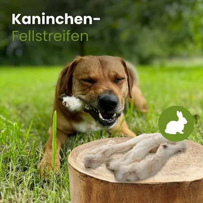 Kauartikel.com Kaninchen-Fellstreifen