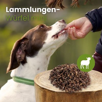 Kauartikel.com Lamm-Lungenwürfel, Mini