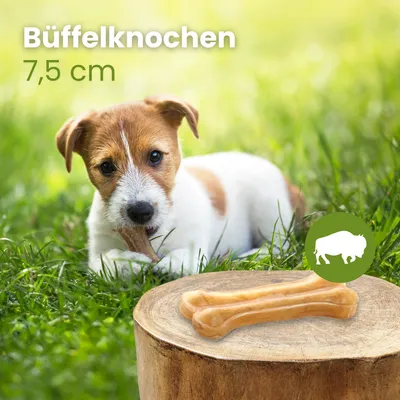 Kauartikel.com Büffelknochen, 35g / 11cm
