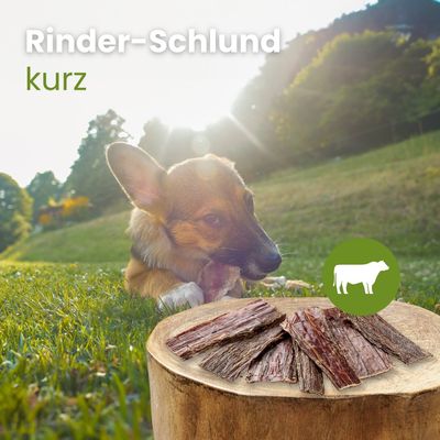 Kauartikel.com Rinder-Schlund, kurz