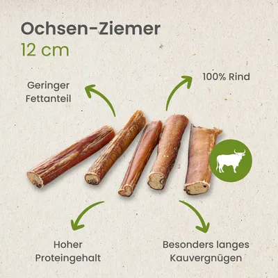Kauartikel.com Ochsen-Ziemer, 12cm