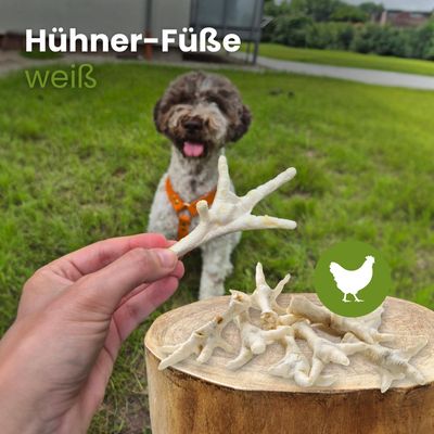 Kauartikel.com Hühner-Füße, weiß