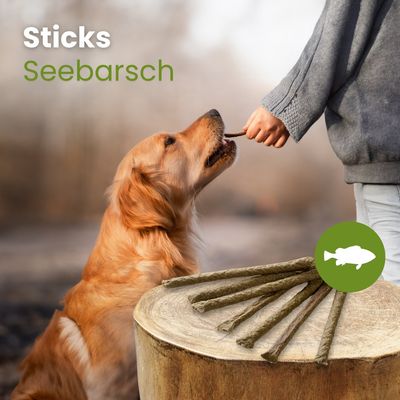 Kauartikel.com Seebarsch-Sticks
