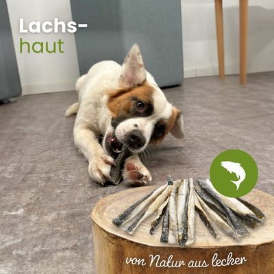 Kauartikel.com Lachshaut