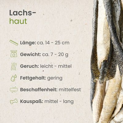 Kauartikel.com Lachshaut