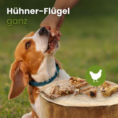Kauartikel.com Hühner-Flügel, ganz