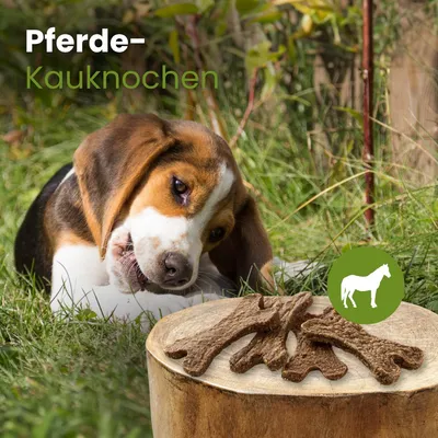 Kauartikel.com Pferde-Kauknochen
