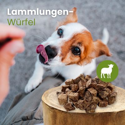 Kauartikel.com Lamm-Lungenwürfel