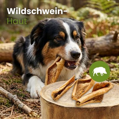 Kauartikel.com Wildschwein-Haut