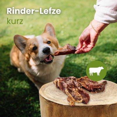 Kauartikel.com Rinder-Lefze, kurz
