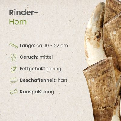 Kauartikel.com Rinder-Horn