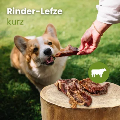 Kauartikel.com Rinder-Lefze, kurz