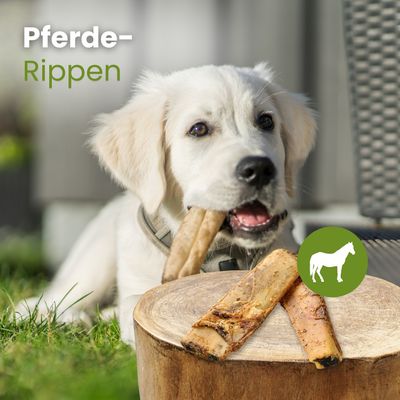 Kauartikel.com Pferde-Rippen
