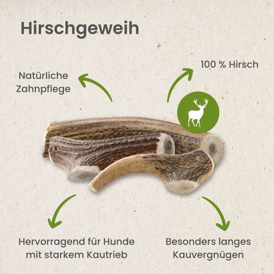 Kauartikel.com Hirschgeweih