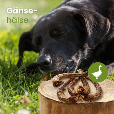 Kauartikel.com Gänse-Hälse