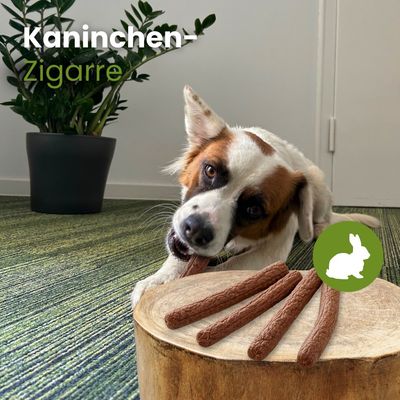 Kauartikel.com Kaninchen-Zigarre