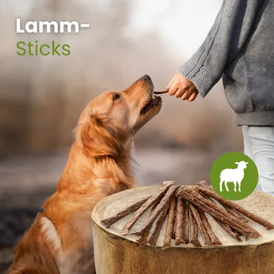 Kauartikel.com Lamm-Sticks
